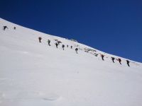 Klik za večjo sliko