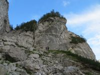 Odpri povezavo
