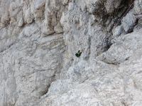 Klik za večjo sliko