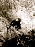 Klik za večjo sliko