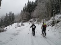 Odpri povezavo