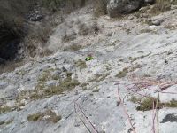 Odpri povezavo