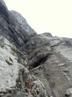 Odpri povezavo