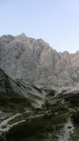 Odpri povezavo