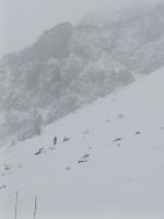 Klik za večjo sliko