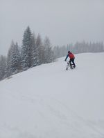 Klik za večjo sliko