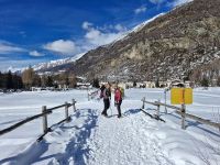 Klik za večjo sliko