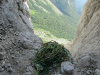 Klik za večjo sliko