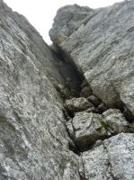 Klik za večjo sliko