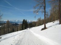 Klik za večjo sliko