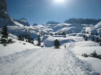 Klik za večjo sliko