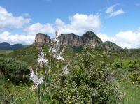 Klik za večjo sliko