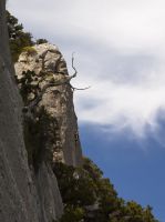 Klik za večjo sliko