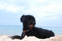 Klik za večjo sliko