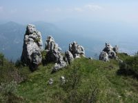 Klik za večjo sliko