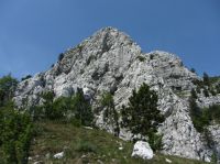 Klik za večjo sliko