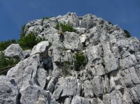 Klik za večjo sliko