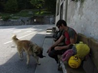 Klik za večjo sliko