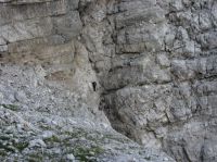 Klik za večjo sliko