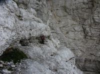 Klik za večjo sliko