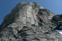 Klik za večjo sliko