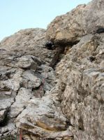 Klik za večjo sliko