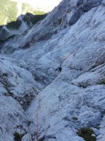 Klik za večjo sliko