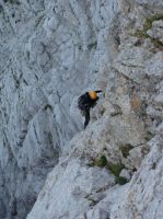 Klik za večjo sliko