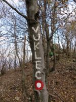 Klik za večjo sliko