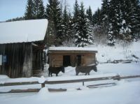 Odpri povezavo