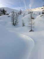 Klik za večjo sliko